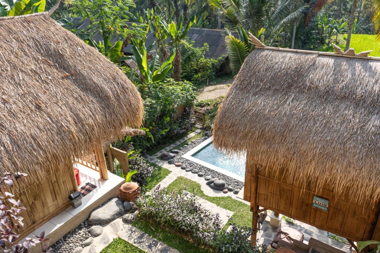 Bali Bamboo Jungle Huts And Hostel Tampaksiring Exteriér fotografie