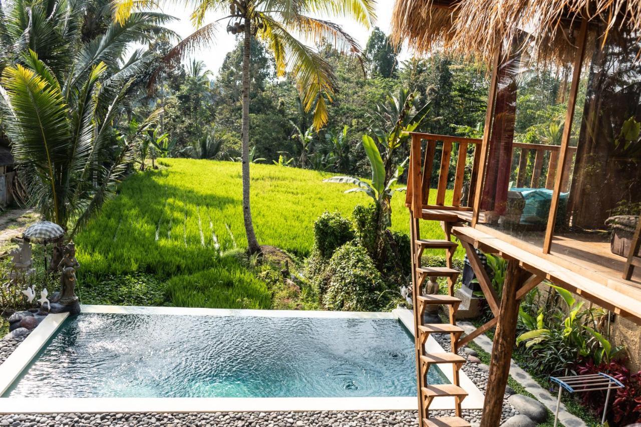 Bali Bamboo Jungle Huts And Hostel Tampaksiring Exteriér fotografie