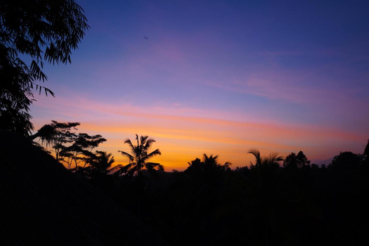 Bali Bamboo Jungle Huts And Hostel Tampaksiring Exteriér fotografie