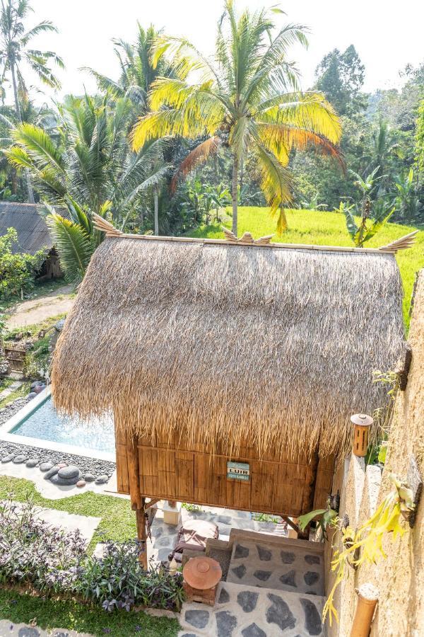 Bali Bamboo Jungle Huts And Hostel Tampaksiring Exteriér fotografie